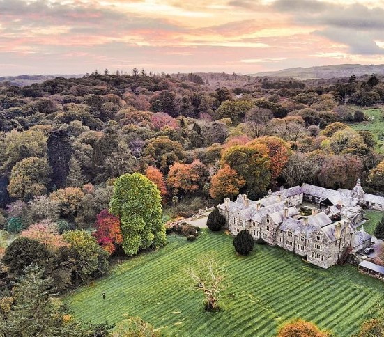 Aerial shot of Wern Manor
